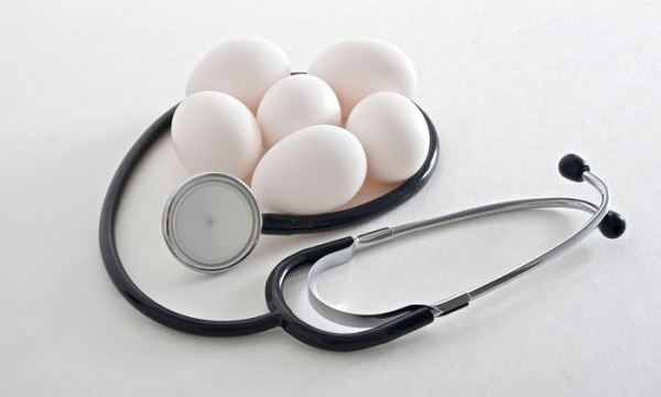 Яйца повышают холестерин? Клевета!