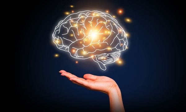 Человеческий мозг светится