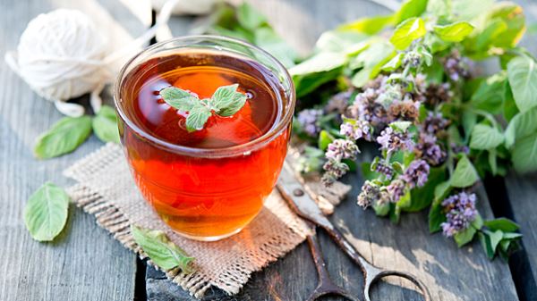 Травы от стресса: почему мята и душица не работают так, как вы думаете