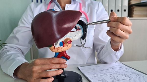 Ожирение печени: как сохранить здоровье самого крупного органа