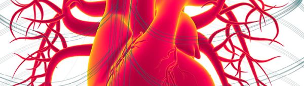 Семаглутид снижает риск сердечных заболеваний более эффективно, чем тирзепатид