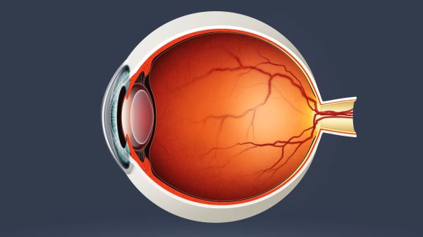 Как по глазам узнать о риске сердечно-сосудистых болезней