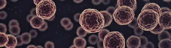 FDA одобрило систему доставки лекарственных препаратов Inlexzo от J&J