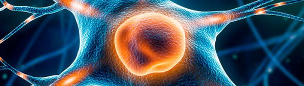 Флуоксетин способствует повышению пластичности клеток головного мозга