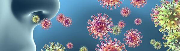 Ученые изучили механизмы, определяющие степень тяжести вирусной инфекции
