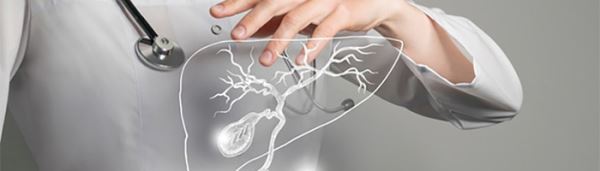 Roche приобретает 89bio — разработчика препаратов для лечения заболеваний печени