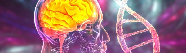 Препарат от UniQure замедляет прогрессирование болезни Хантингтона