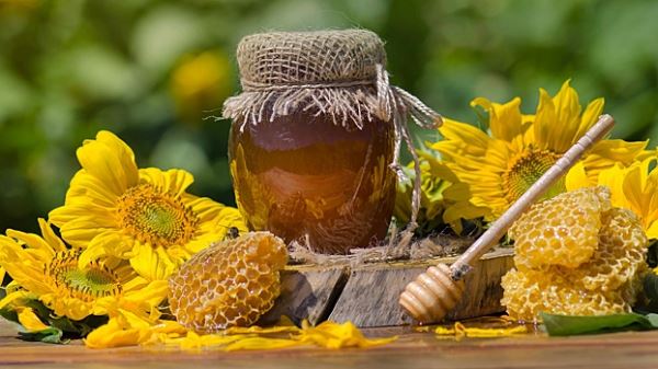 Мёд назвали новым средством для борьбы с деменцией