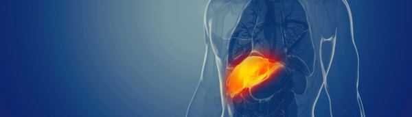 Найден способ предотвращения распространенного осложнения пересадки печени