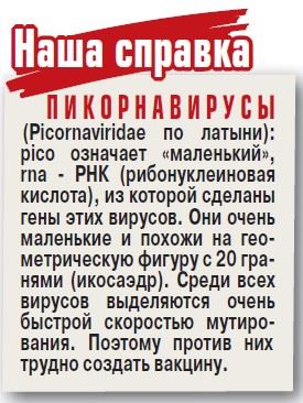 Что еще за Коксаки такой?